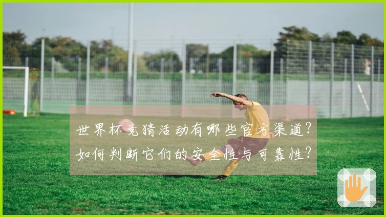 世界杯竞猜活动有哪些官方渠道？如何判断它们的安全性与可靠性？
