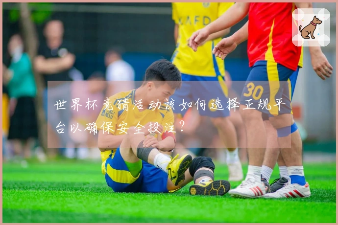 世界杯竞猜活动该如何选择正规平台以确保安全投注？