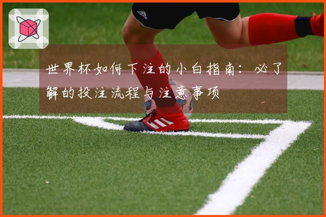 世界杯如何下注的小白指南：必了解的投注流程与注意事项