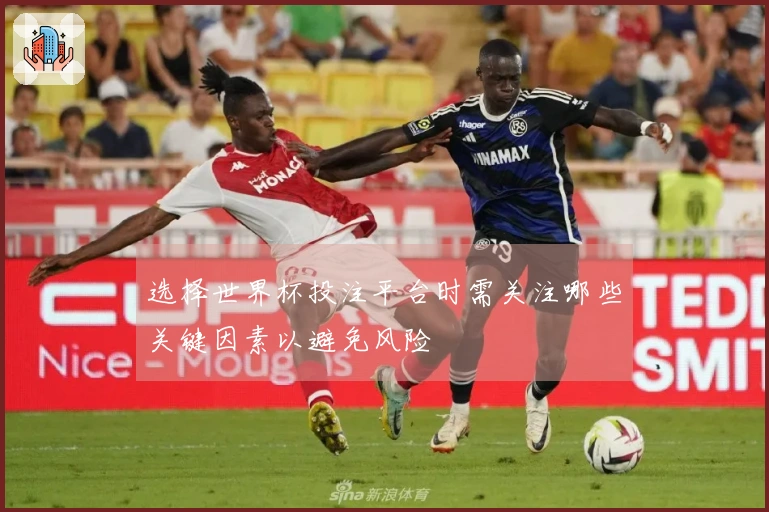 选择世界杯投注平台时需关注哪些关键因素以避免风险